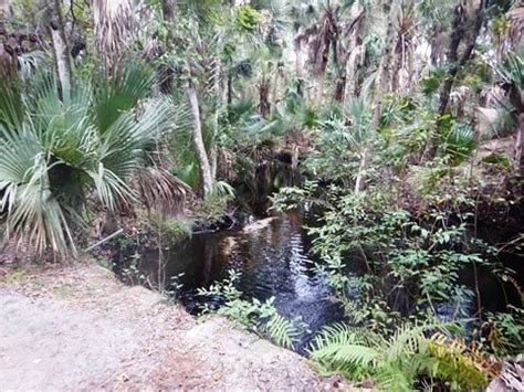 Wekiva Springs State Park, FL. Bike, Hike. E-Z Map, Photos.