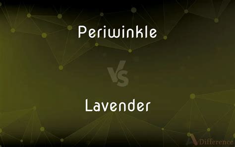 Periwinkle vs. Lavender — What’s the Difference?