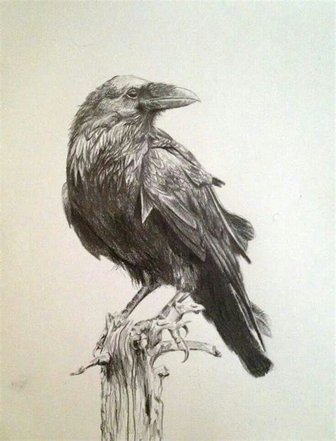 Pin by Ricardo Gorzo Morales on tattoos | Crows drawing, Bird drawings, Raven art