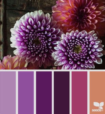 color flora | Scrapbook Campus