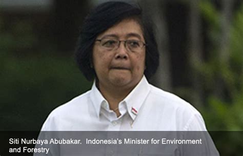 Siti Nurbaya Bakar, Minister of Environment and Forestry in Jokowi’s Working Cabinet - TFCA Sumatera