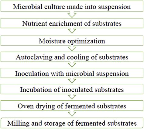 Schematic representation of steps involved in solid-state fermentation... | Download Scientific ...