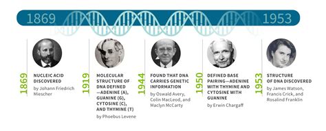 DNA Discovery | AncestryDNA® Learning Hub