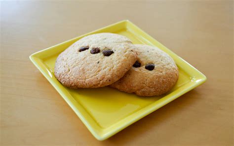 Two Chocolate Chip Cookies · Free Stock Photo