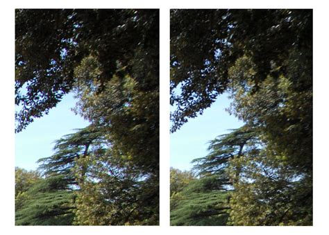 Chromatic Aberration | Understanding Chromatic Aberration | Nikon