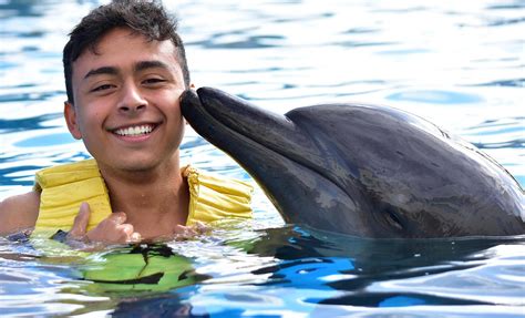 Dolphin Encounter and Water Park Shore Excursion in Puerto Vallarta