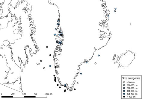 Frontiers | Greenland Shark (Somniosus microcephalus) Stomach Contents ...