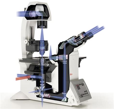 DMi8 S Live cell microscope | Products | Leica Microsystems