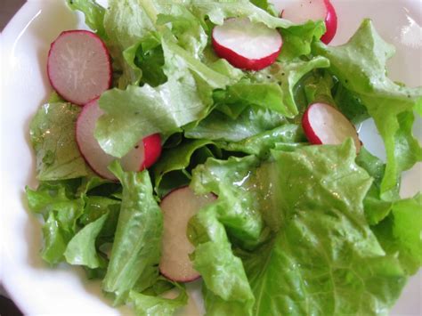 Loose Leaf Green Lettuce Salad with Apple Cider Vinegar Dressing ...