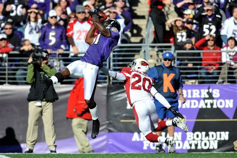 Arizona Cardinals Video Of The Day: Anquan Boldin Highlights - Revenge of the Birds