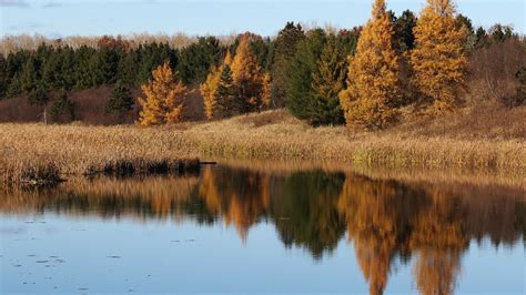 All Minnesota state parks are free to visit Friday | MPR News