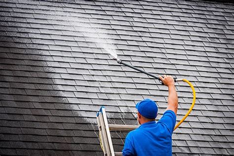 Roof Moss Removal | Roof Algae Cleaning | Vancour Roof Cleaning