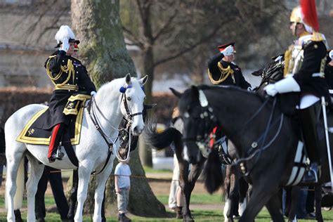 IN PICTURES: Household Cavalry fit for 2012 ceremonial duties - GOV.UK