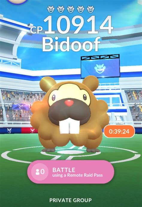 The Bidoof Event was Fun – The Daily SPUF