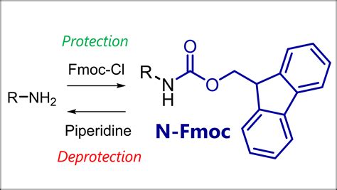 Fmoc Protecting Group: Fmoc Protection & Deprotection Mechanism – Total Synthesis - Organic ...