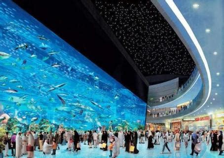 The Dubai Mall Aquarium, Dubai | Ticket Price | Timings | Address: TripHobo