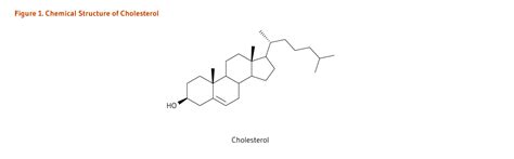 Phytosterols | Linus Pauling Institute | Oregon State University