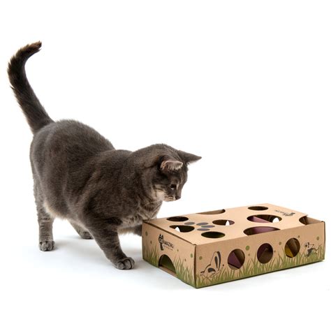 Cat Puzzle Feeder Buying Guide – Cat Amazing