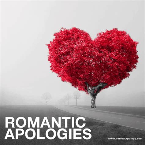 Romantic Apologies | Say I'm Sorry & I Love You