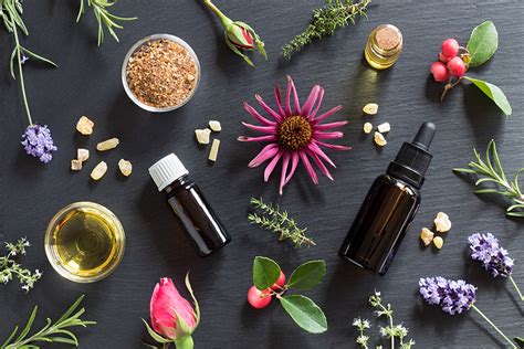 Benefits of Aromatherapy and Essential Oils - The Therapist Essentials