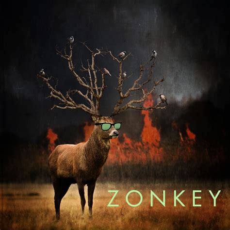 ZONKEY: "Sweet Sunglasses" - Umphrey's McGee