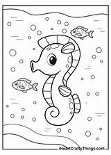 Seahorse Coloring Pages  Books Summer sketch template