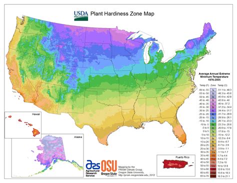 Plant Hardiness Zones | The How Do Gardener - Texas Growing Zone Map | Printable Maps