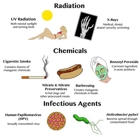 Examples of Mutagens. Types of mutagens include radiation, chemicals ...