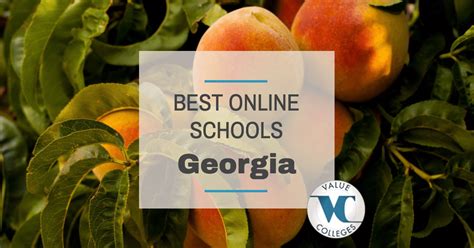 Top 10 Best Online Colleges in Georgia | Value Colleges