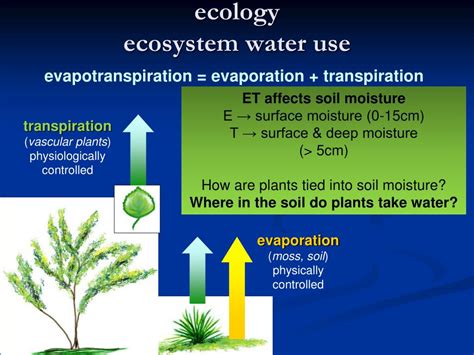 PPT - Northern Ecohydrology PowerPoint Presentation, free download - ID:669140