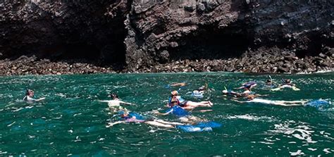 Snorkeling in the Galapagos ⋆ Galapagos Islands - Travel Guide