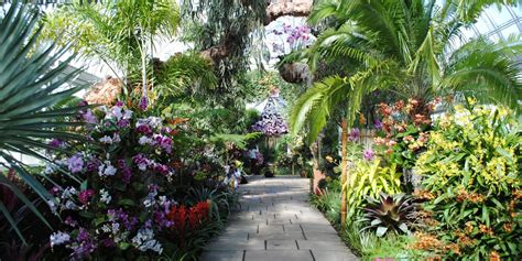 Bronx Botanical Garden | Escape into a Paradise of Flowers