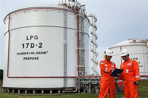 Government partners with Pertamina in Badak LNG plant - Business - The ...