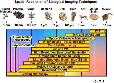 FIONA and other super-high resolution microscopy techniques - Viral Bioinformatics Research Centre