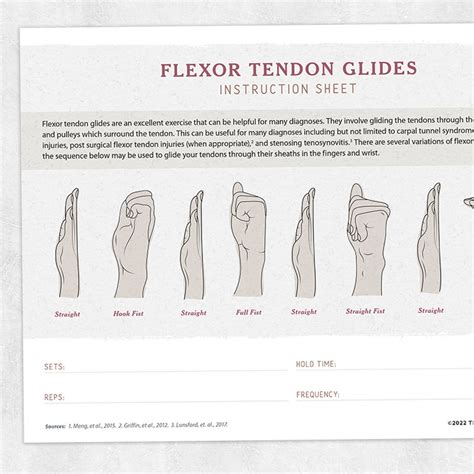 Flexor Tendon Glides Instruction Sheet – Adult and pediatric printable resources for speech and ...