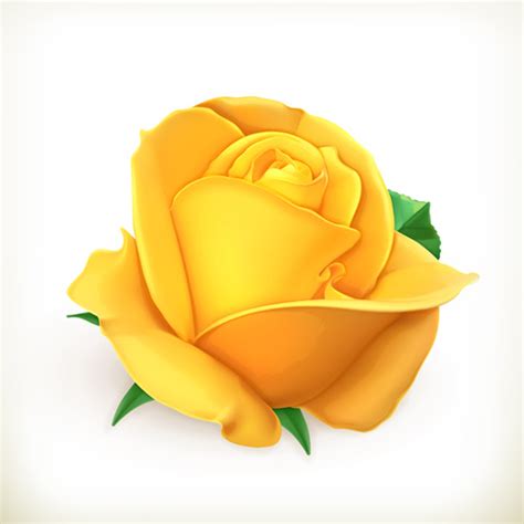 Yellow rose vector Vectors graphic art designs in editable .ai .eps ...