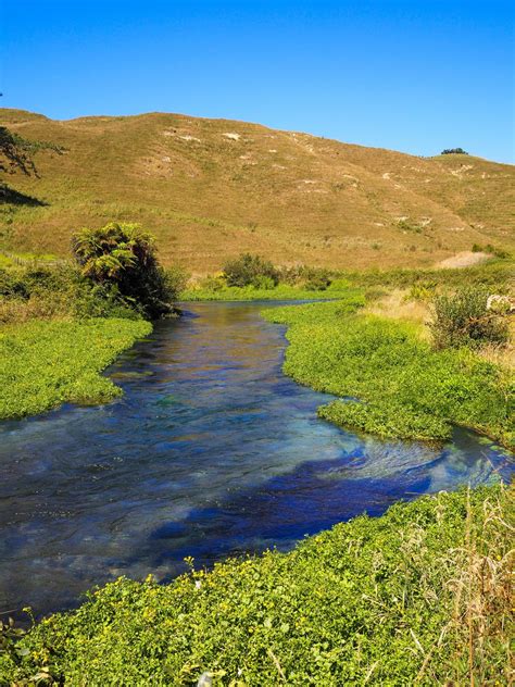 Blue Springs Putaruru & the Te Waihou Walkway | Beautiful hikes, New zealand travel, Blue springs