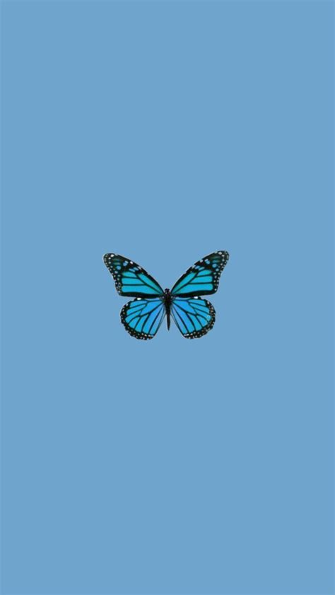 Blue Butterfly Aesthetic Wallpapers - Top Free Blue Butterfly Aesthetic Backgrounds ...