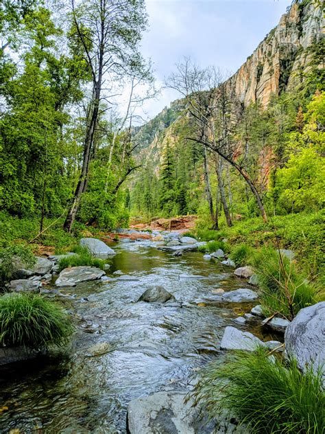 Northern Arizona is absolutely gorgeous. Took this picture on a hike in ...