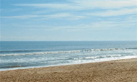 Beach Vacation GIF - Find & Share on GIPHY