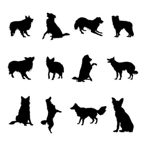 Premium Vector | Border collie dog silhouettes border collie silhouette collection