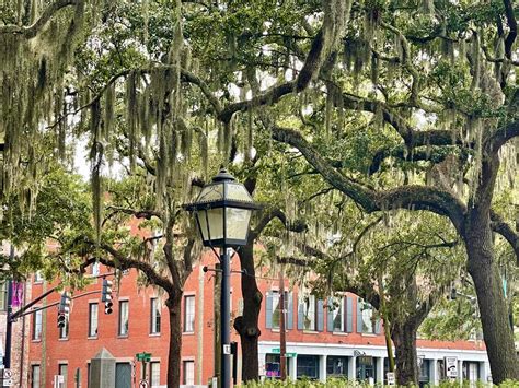 The Best Boutique Hotels in Savannah For Foodies — Chef Denise