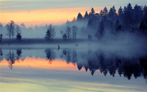 nature, Landscape, Mist, Sunrise, Lake, Forest, Reflection, Blue, Trees ...