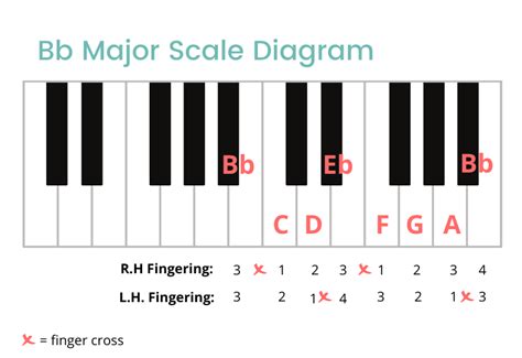 Bb Major Scale On The Piano - Notes, Fingerings & More