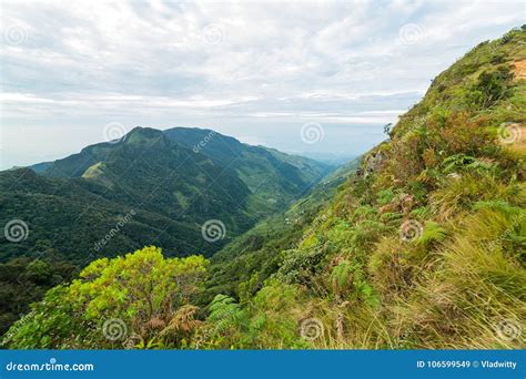 Mountains Landscape Cloud Forest. Worlds End in Horton Plains Na Stock ...