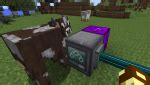 XNet Mod 1.18.1, 1.16.5: Gaming’s Most Flexible and Efficient Cable Network - Wminecraft.net