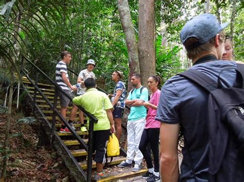 Taman Negara Pahang Activities / Taman Negara National Park Everything ...