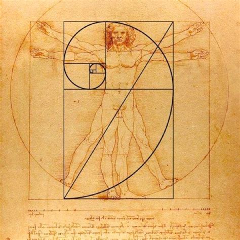 goldden section | Fibonacci art, Fibonacci golden ratio, Golden ratio art