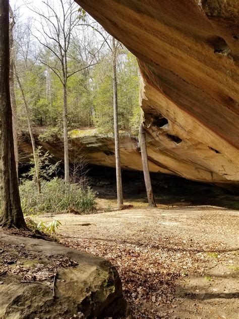 Indian Staircase Trail, Red River Gorge, Kentucky, USA : r/hiking