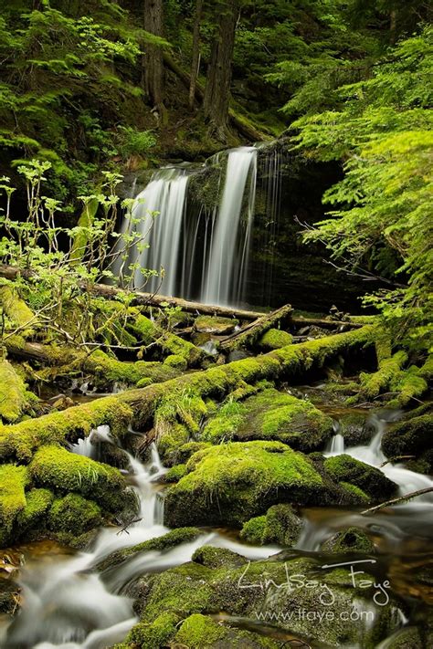 Fern Falls Idaho Panhandle National Forests - Photorator